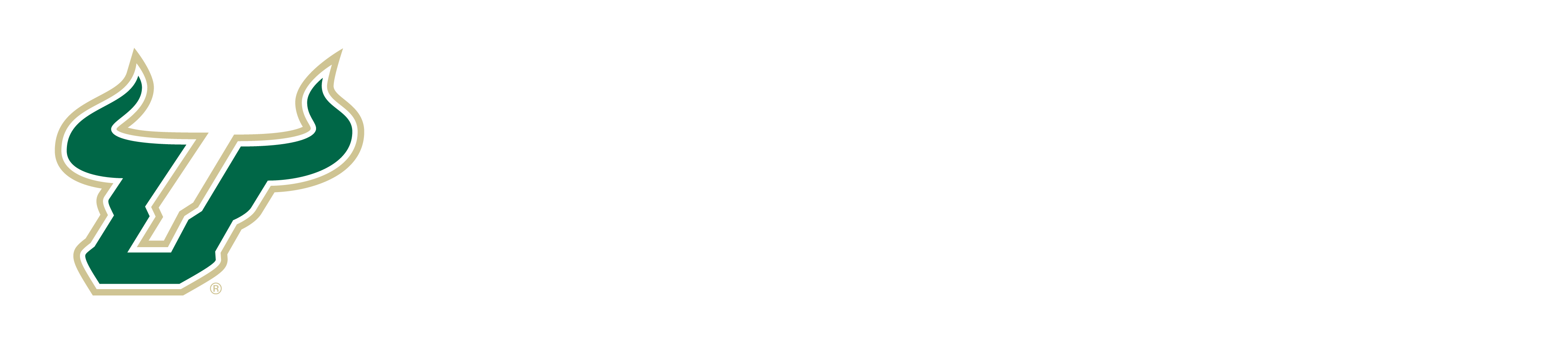 USF Logo