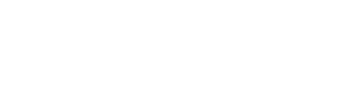 USF Logo